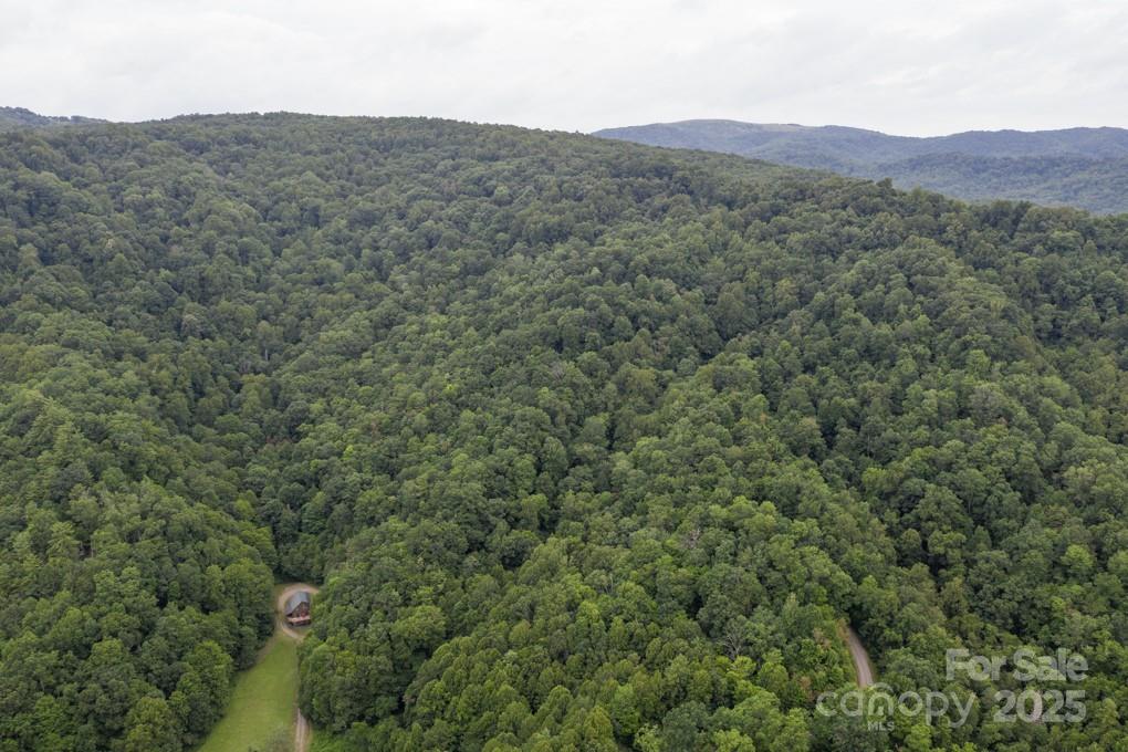 8020 Meadow Fork Road Hot Springs NC 28743