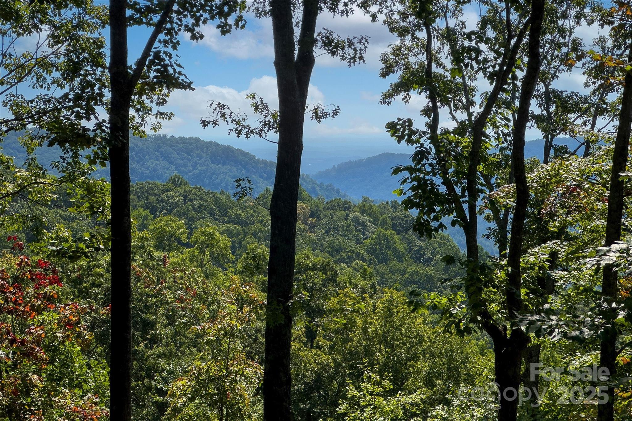 789 Mckenzie Way S Old Fort NC 28762