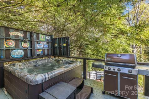 25 Normandy Road Asheville NC 28803