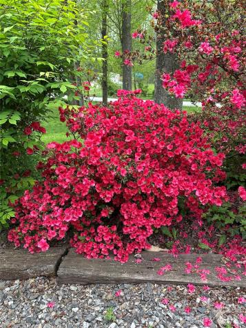 1348 Jenkins Valley Road Alexander NC 28701