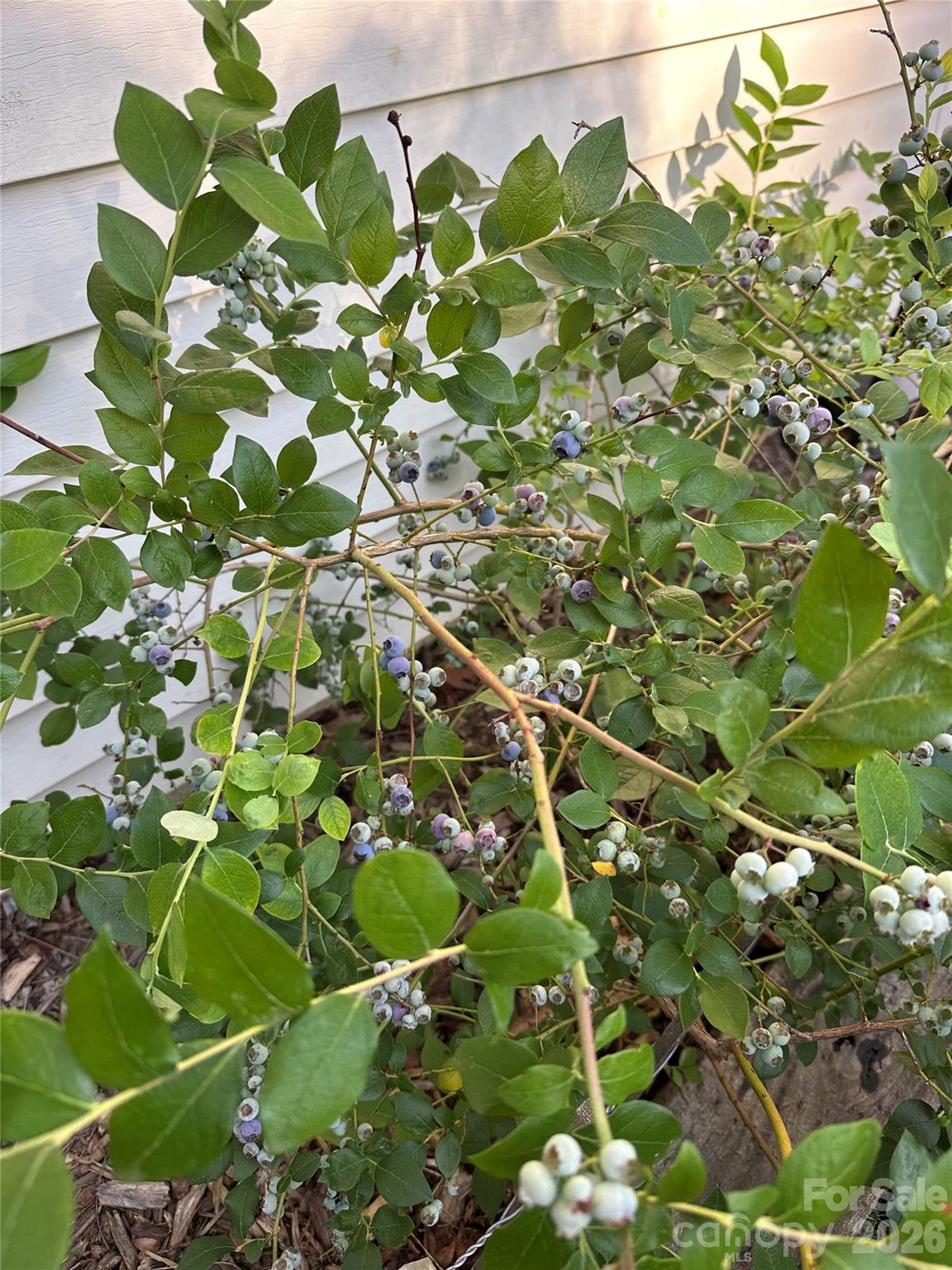 1348 Jenkins Valley Road Alexander NC 28701