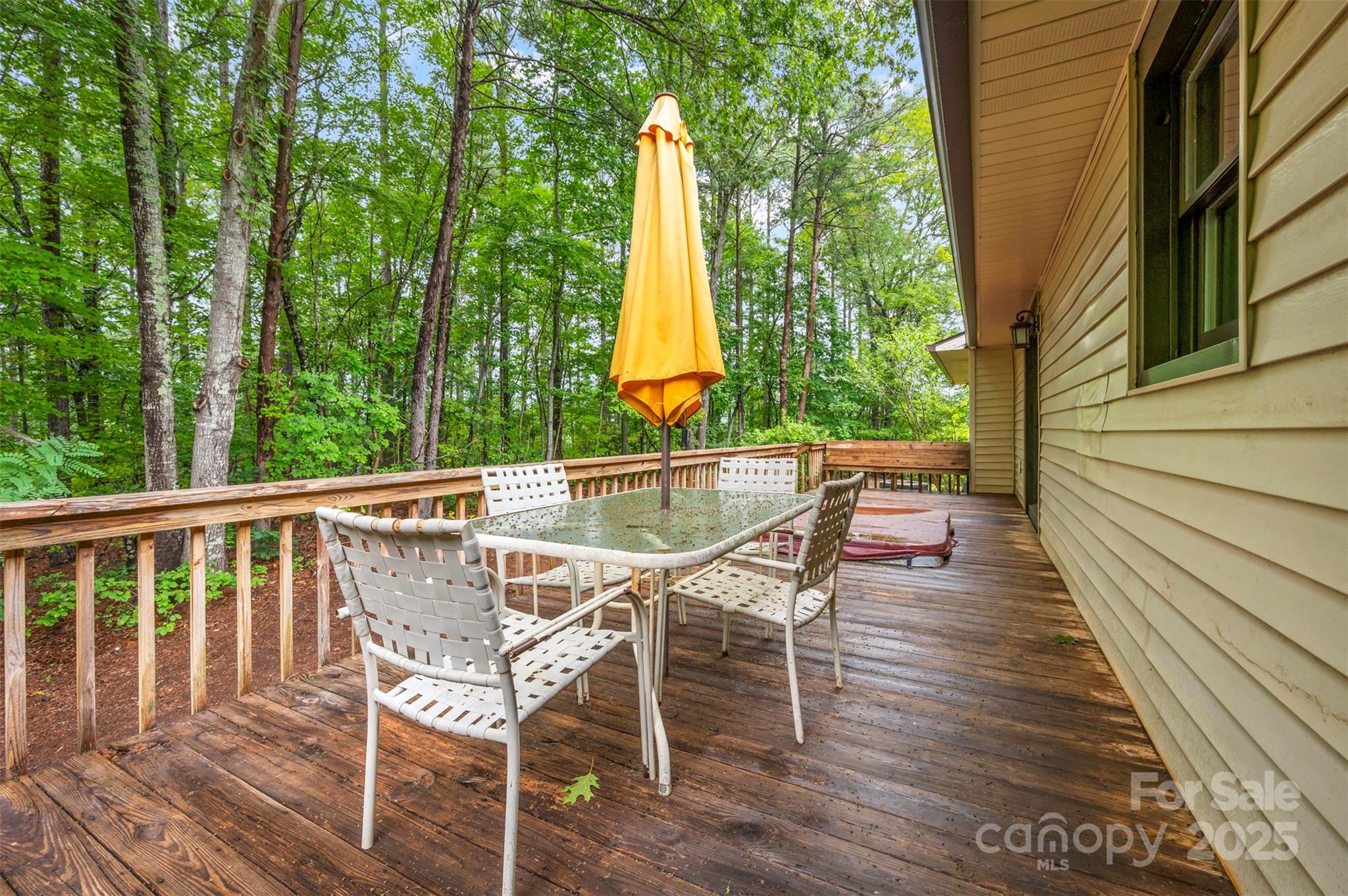 307 Owl Hollow Road Mill Spring NC 28756