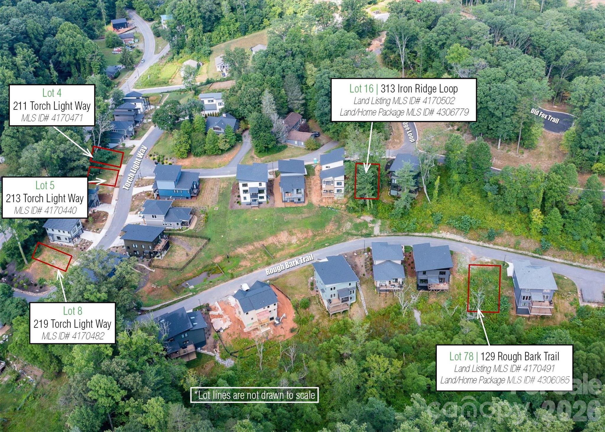 313 Iron Ridge Loop Asheville NC 28806