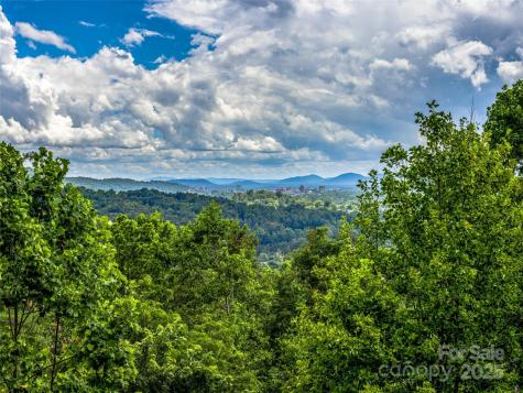 27 Elk Mountain Ridge Asheville NC 28804