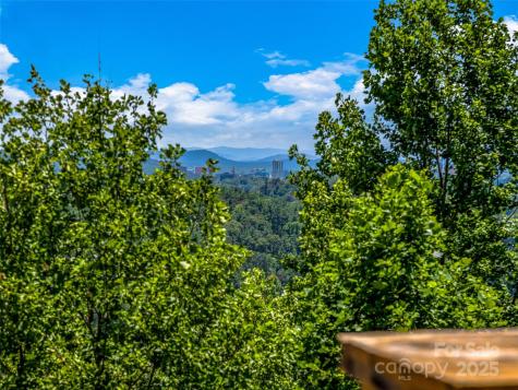 27 Elk Mountain Ridge Asheville NC 28804