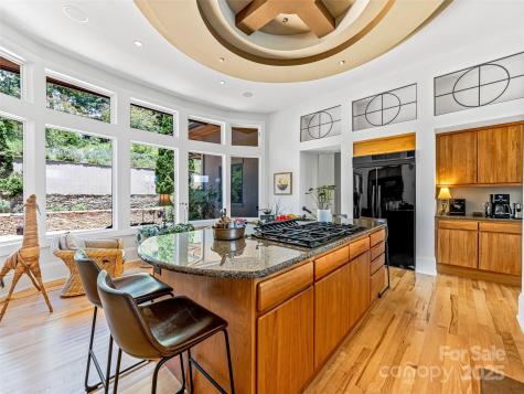 27 Elk Mountain Ridge Asheville NC 28804