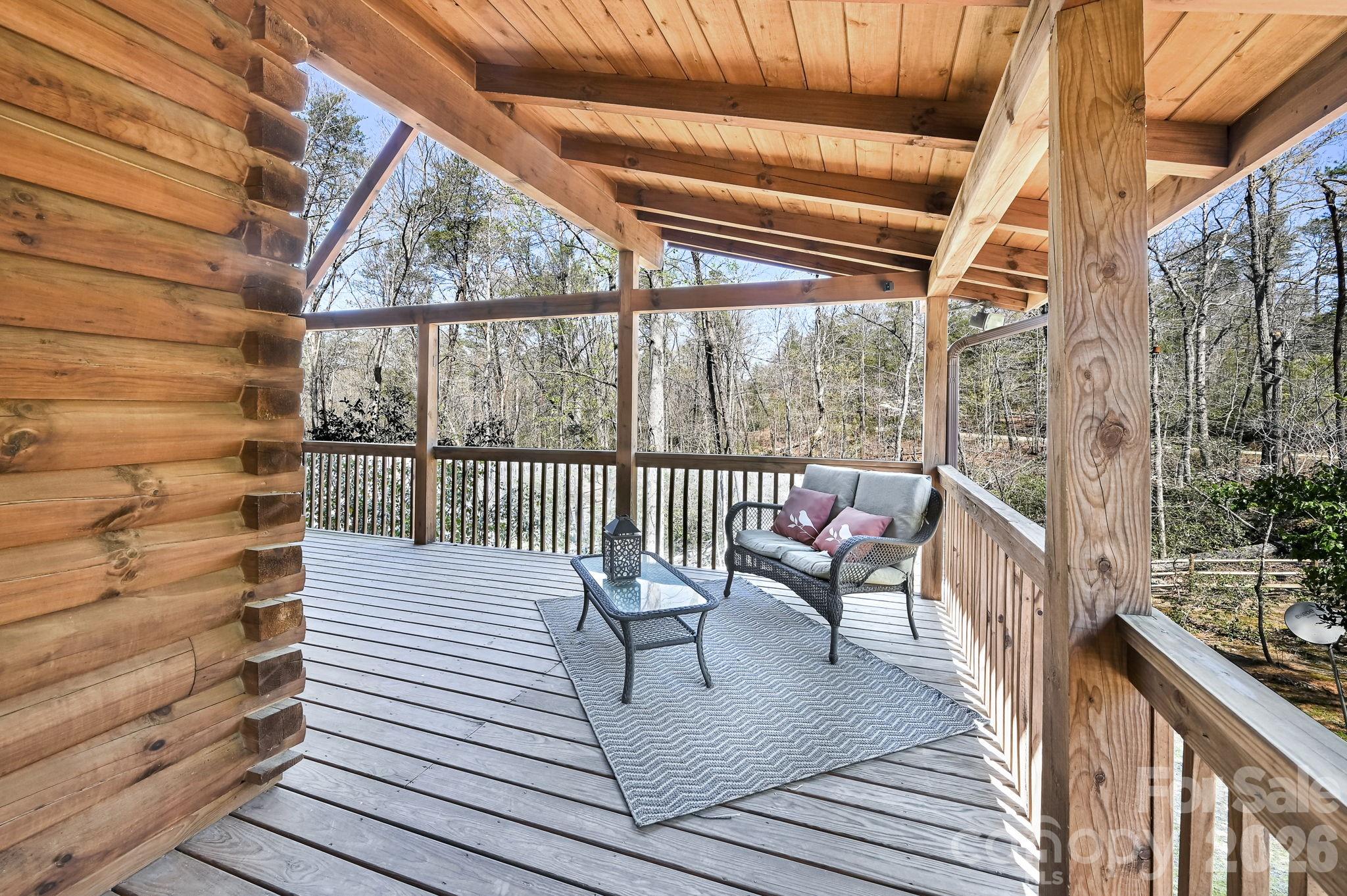 135 Poodles Way Lake Lure NC 28746