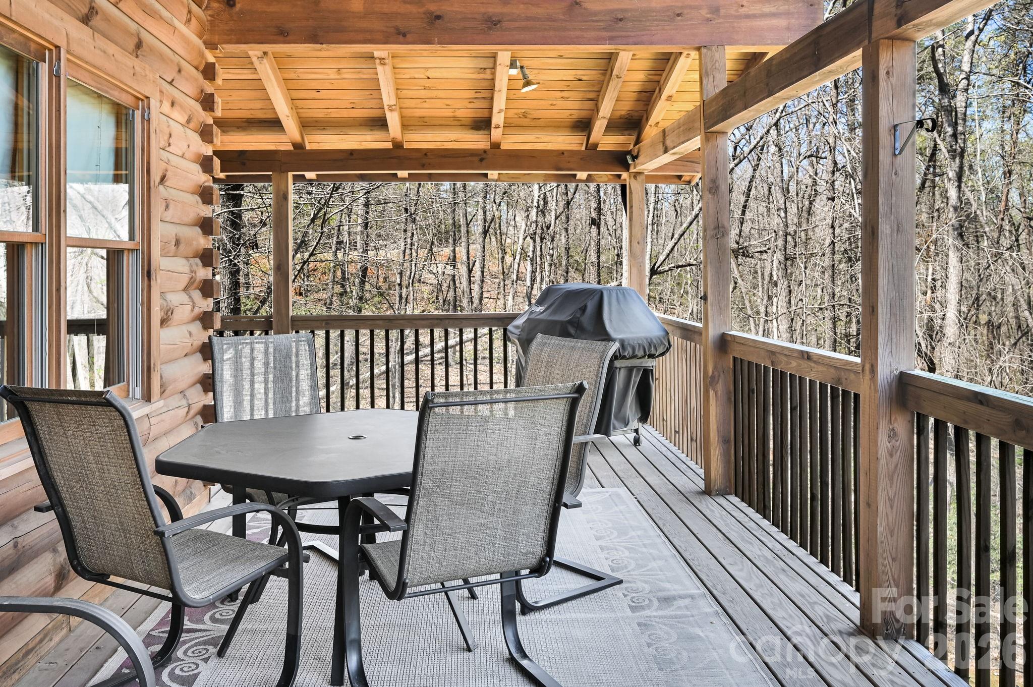 135 Poodles Way Lake Lure NC 28746