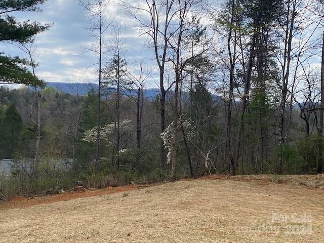 142 Cochran Cove Drive Old Fort NC 28762