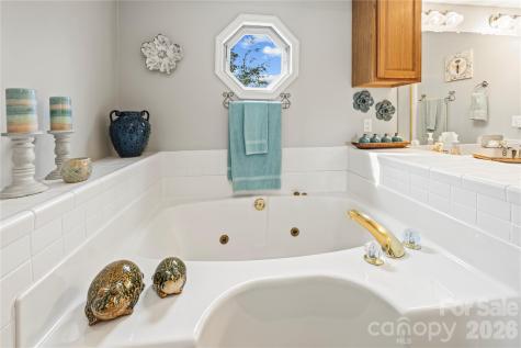 112 Bridlewood Trail Mills River NC 28759