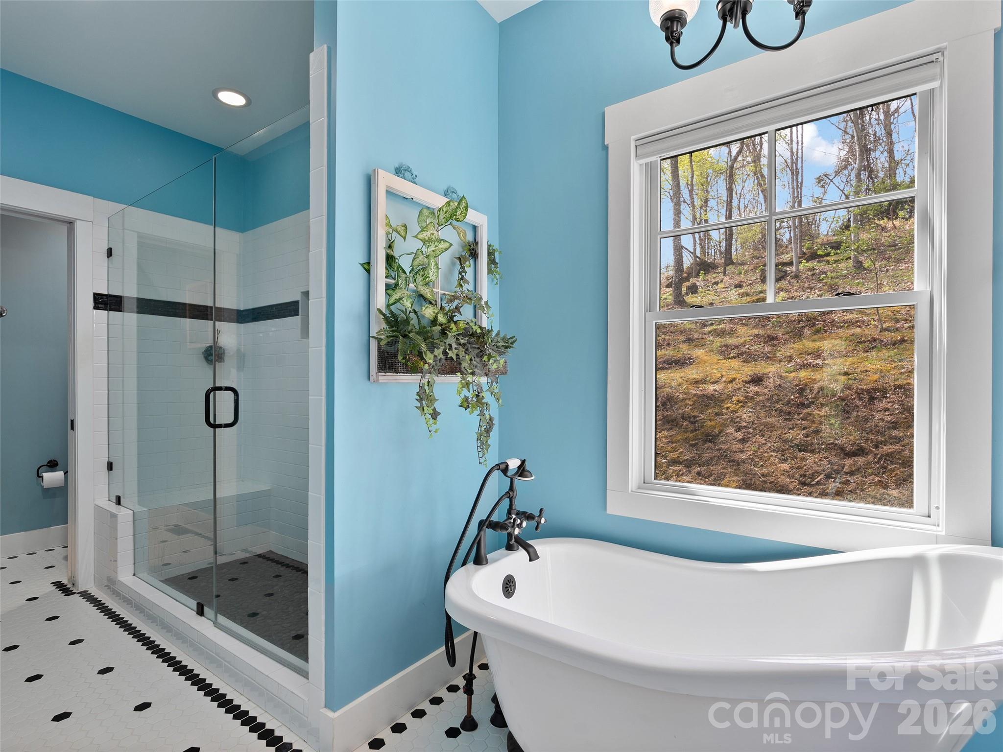 711 Winfield Drive Clyde NC 28721