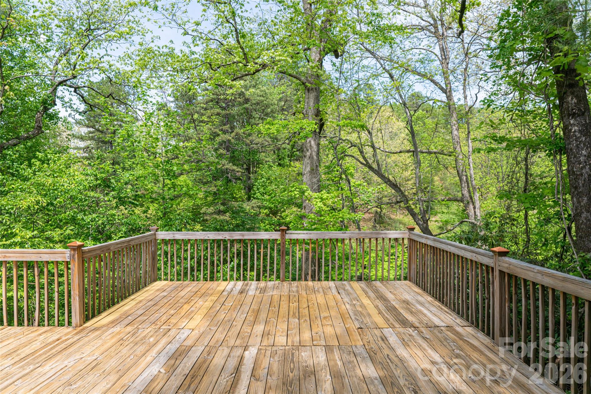 22 Otter Lane Candler NC 28715