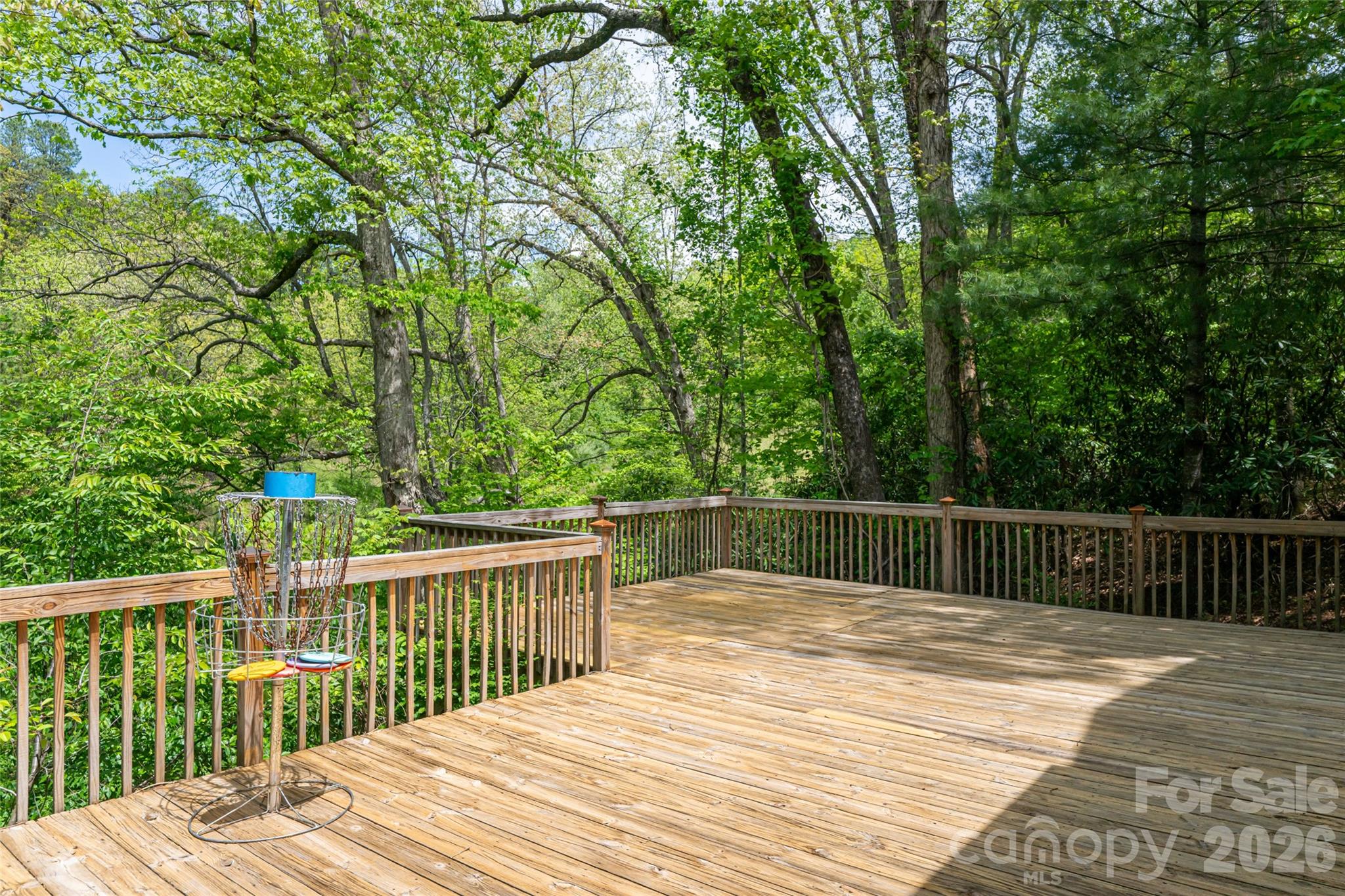 22 Otter Lane Candler NC 28715