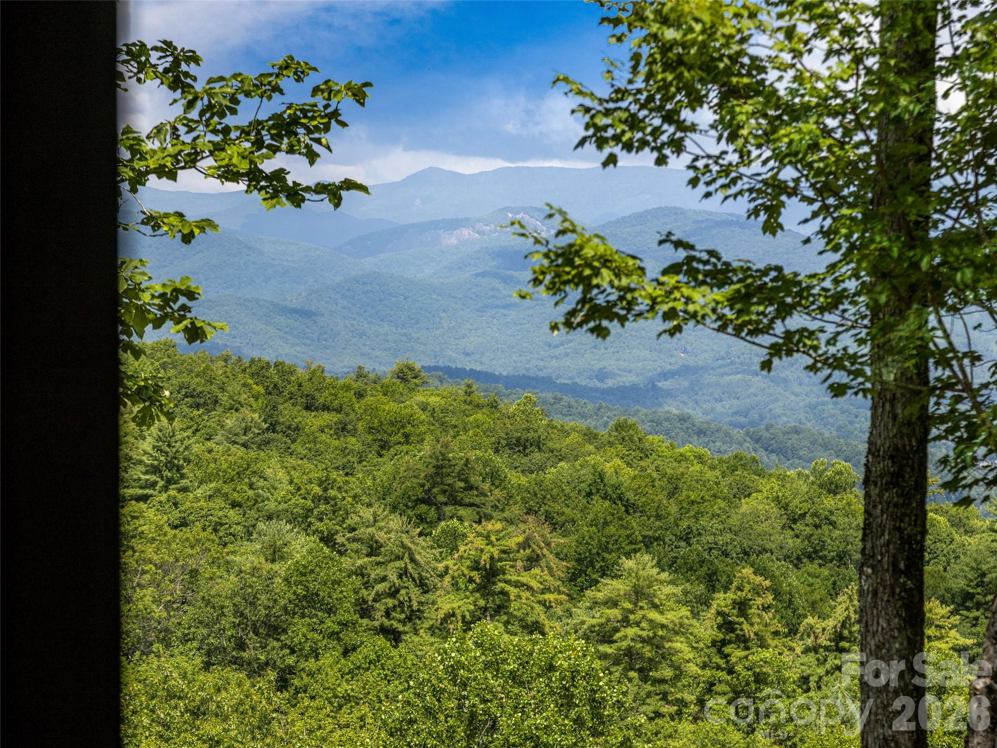 30 Banks Lane Brevard NC 28712