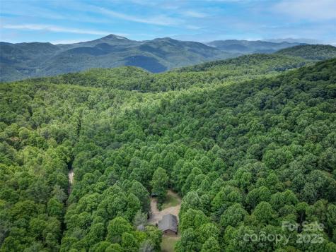 186 Sloshy Branch Trail Black Mountain NC 28711