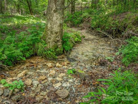 186 Sloshy Branch Trail Black Mountain NC 28711