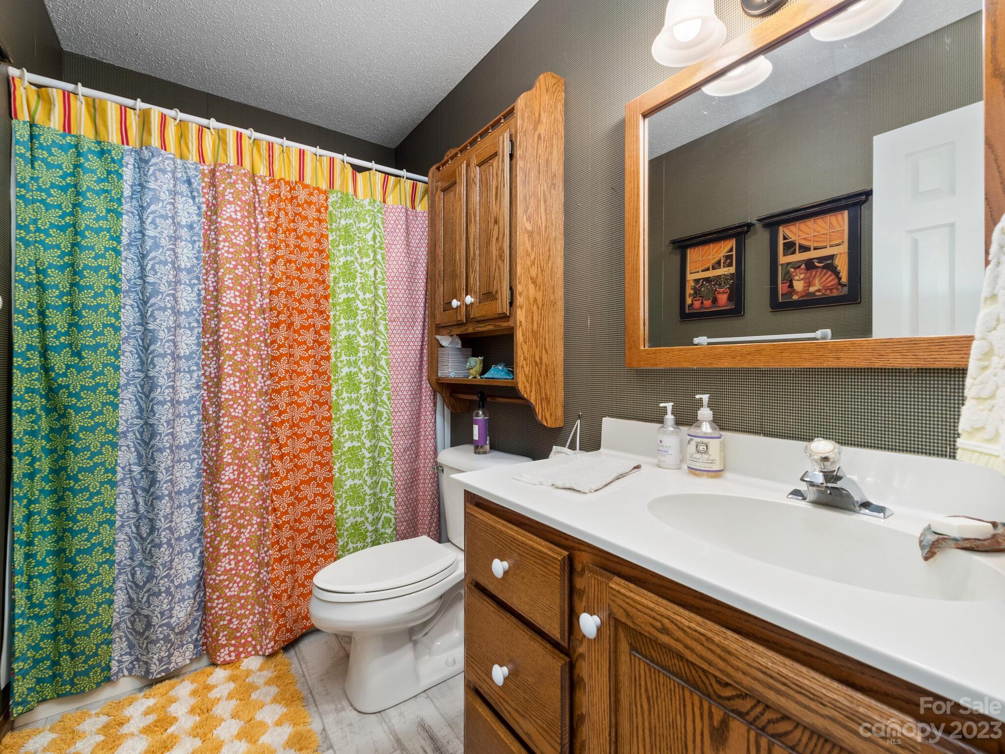 723 Windover Drive Brevard NC 28712