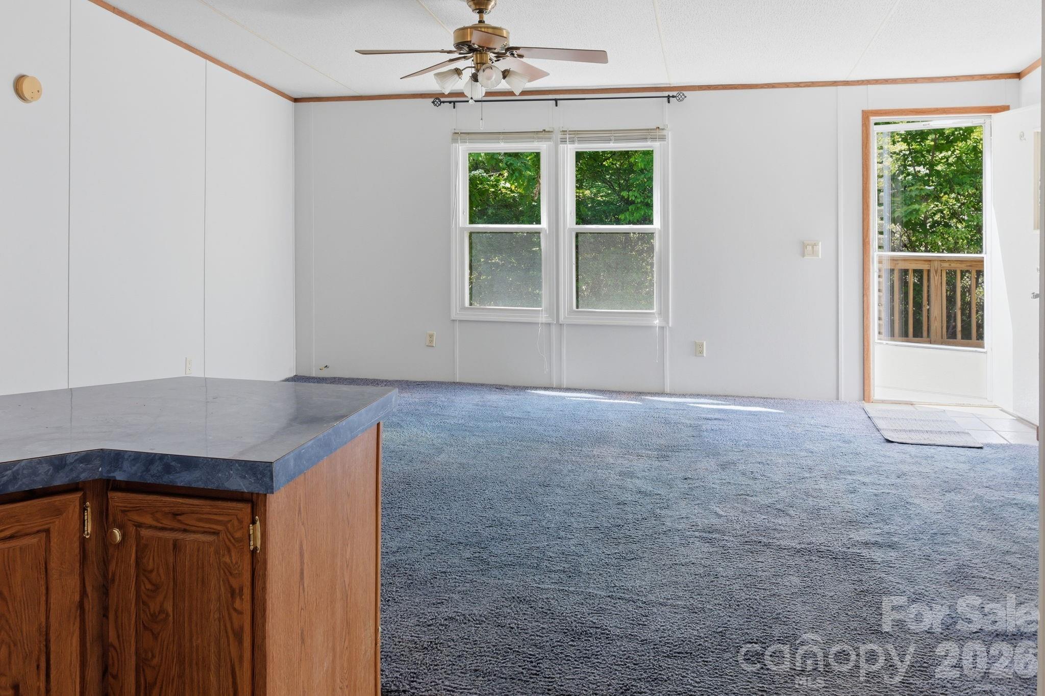 25 Glenn Lance Lane Fairview NC 28730