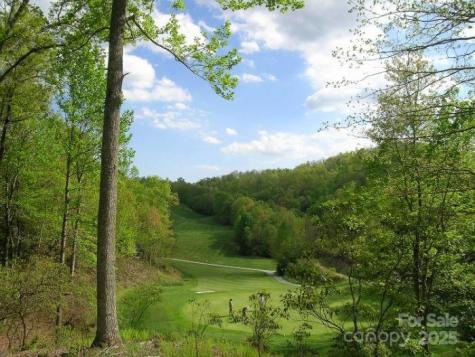 66 Ottaray Court Brevard NC 28712