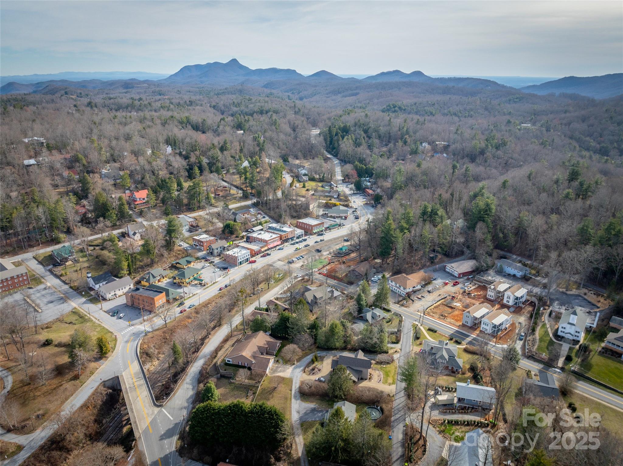 43 Skyvue Court Saluda NC 28773