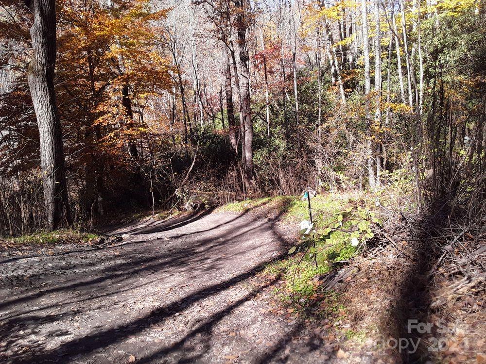 2200 Walnut Creek Road Marshall NC 28753