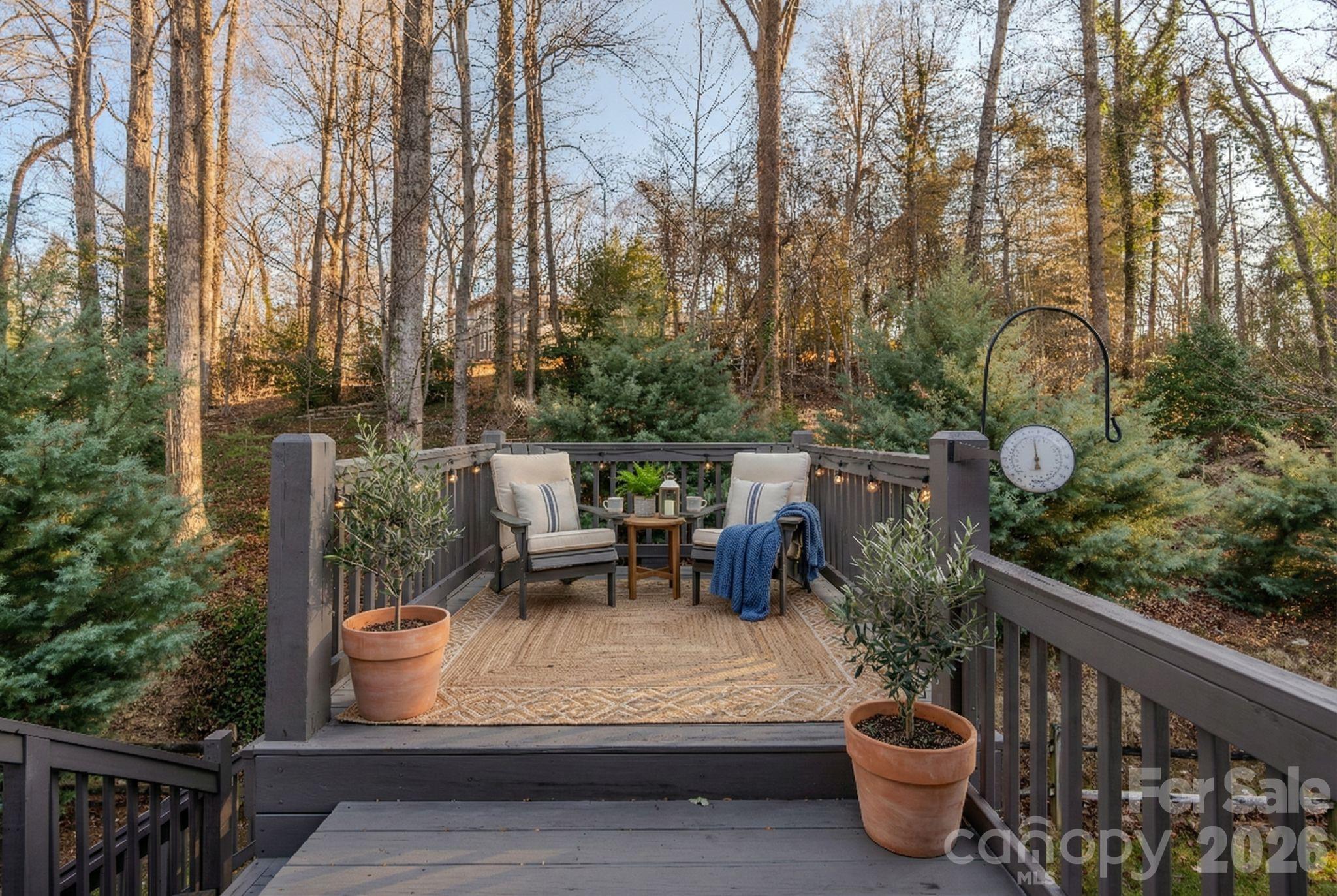 66 Fox Trot Lane Tryon NC 28782