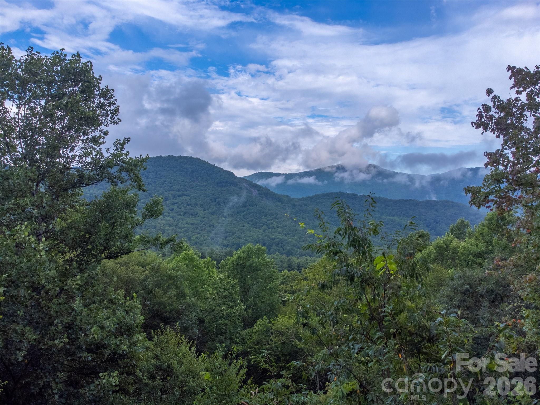 1838 Coman Road Franklin NC 28734