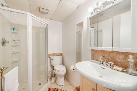 31 Covewood Road Asheville NC 28805