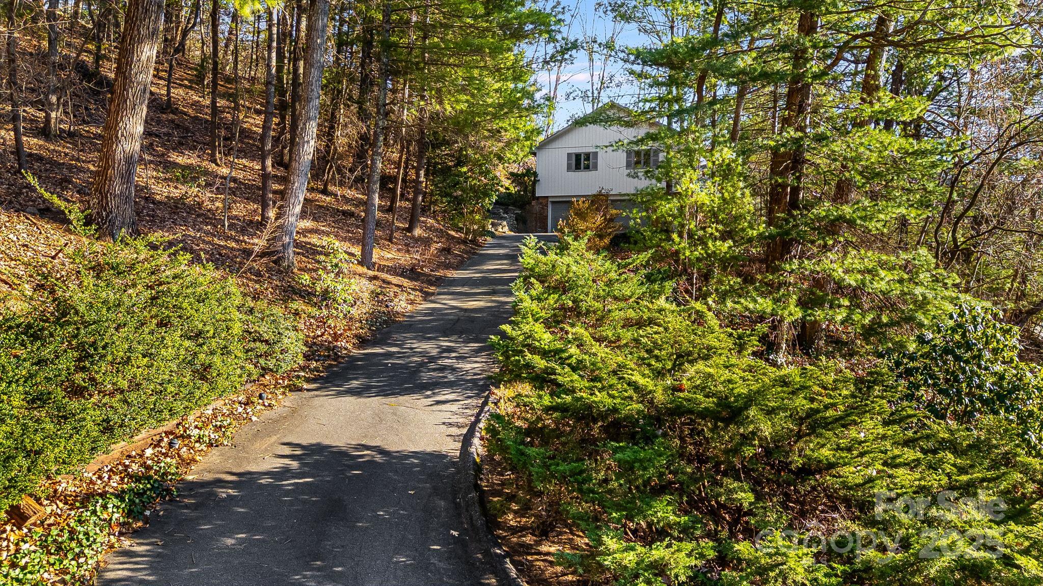 31 Covewood Road Asheville NC 28805