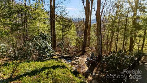 31 Covewood Road Asheville NC 28805