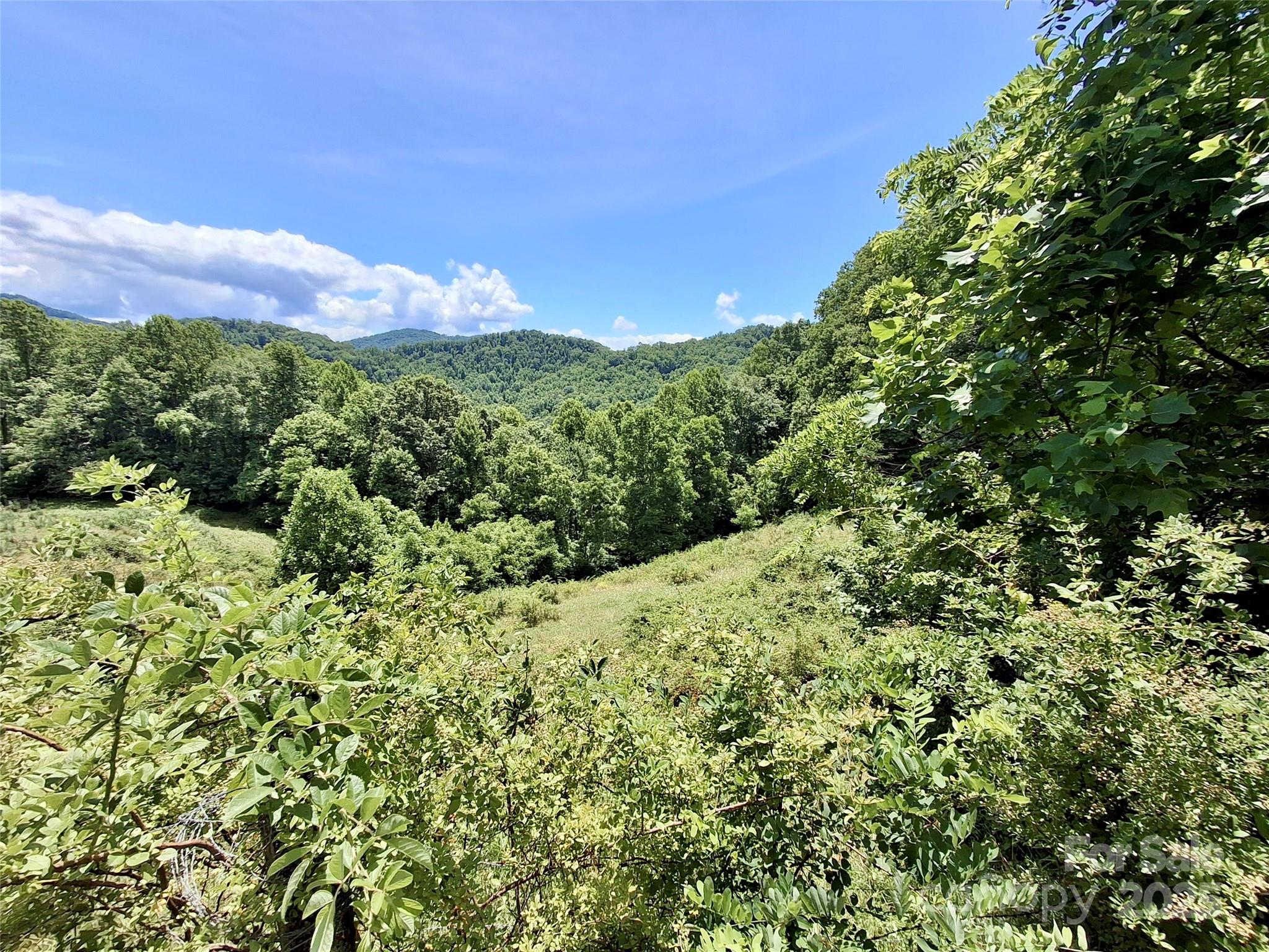 2087 Henry Road Sylva NC 28779