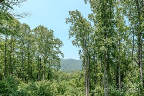 80 Dana Drive Bakersville NC 28777