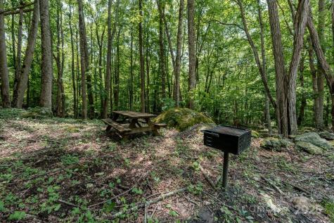 80 Dana Drive Bakersville NC 28777