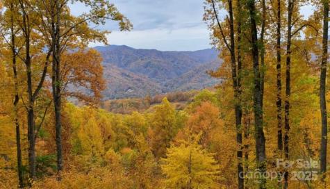 80 Dana Drive Bakersville NC 28777