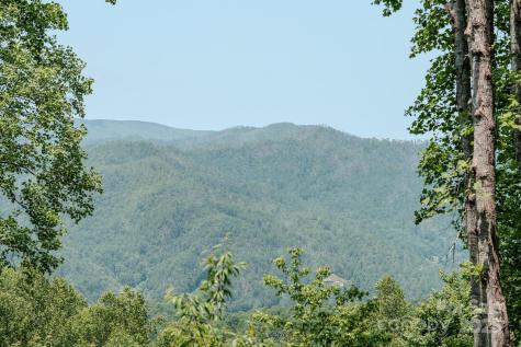 80 Dana Drive Bakersville NC 28777