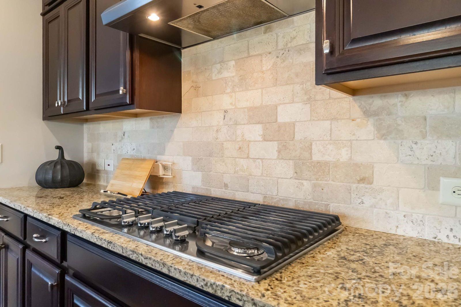 15417 Cimarron Hills Lane Charlotte NC 28278