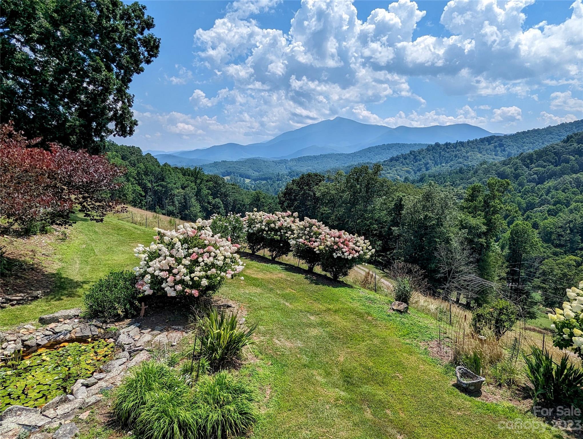 3303 Double Island Road Green Mountain NC 28740