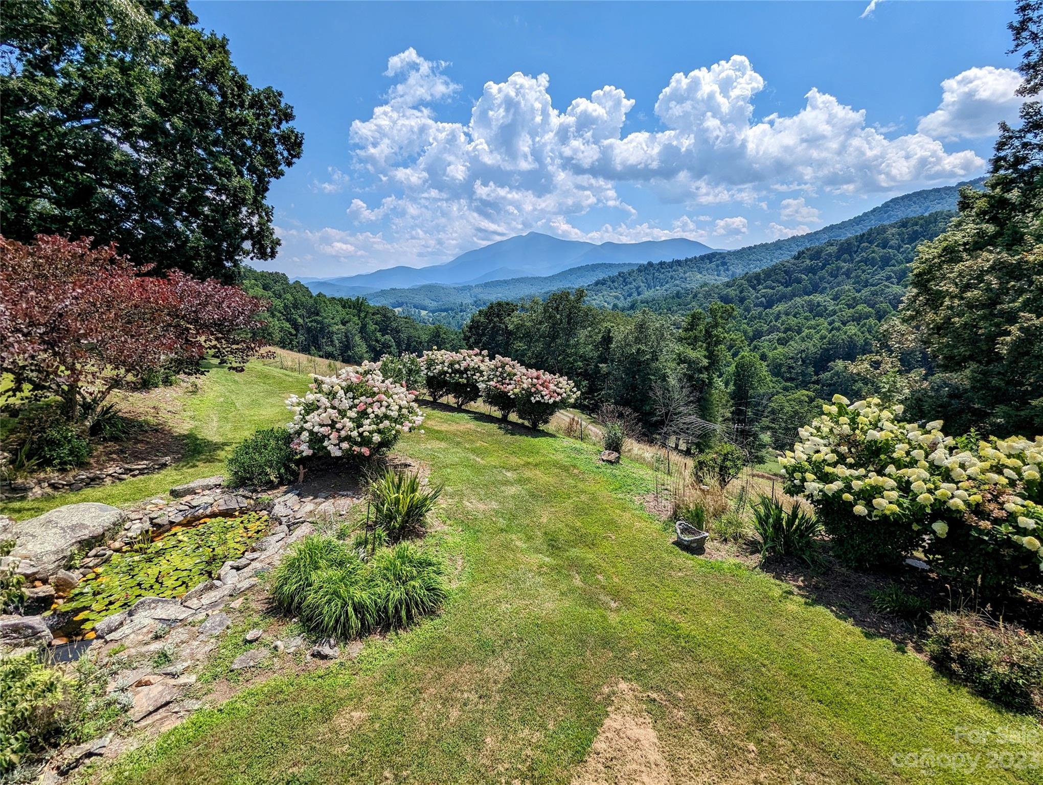 3303 Double Island Road Green Mountain NC 28740