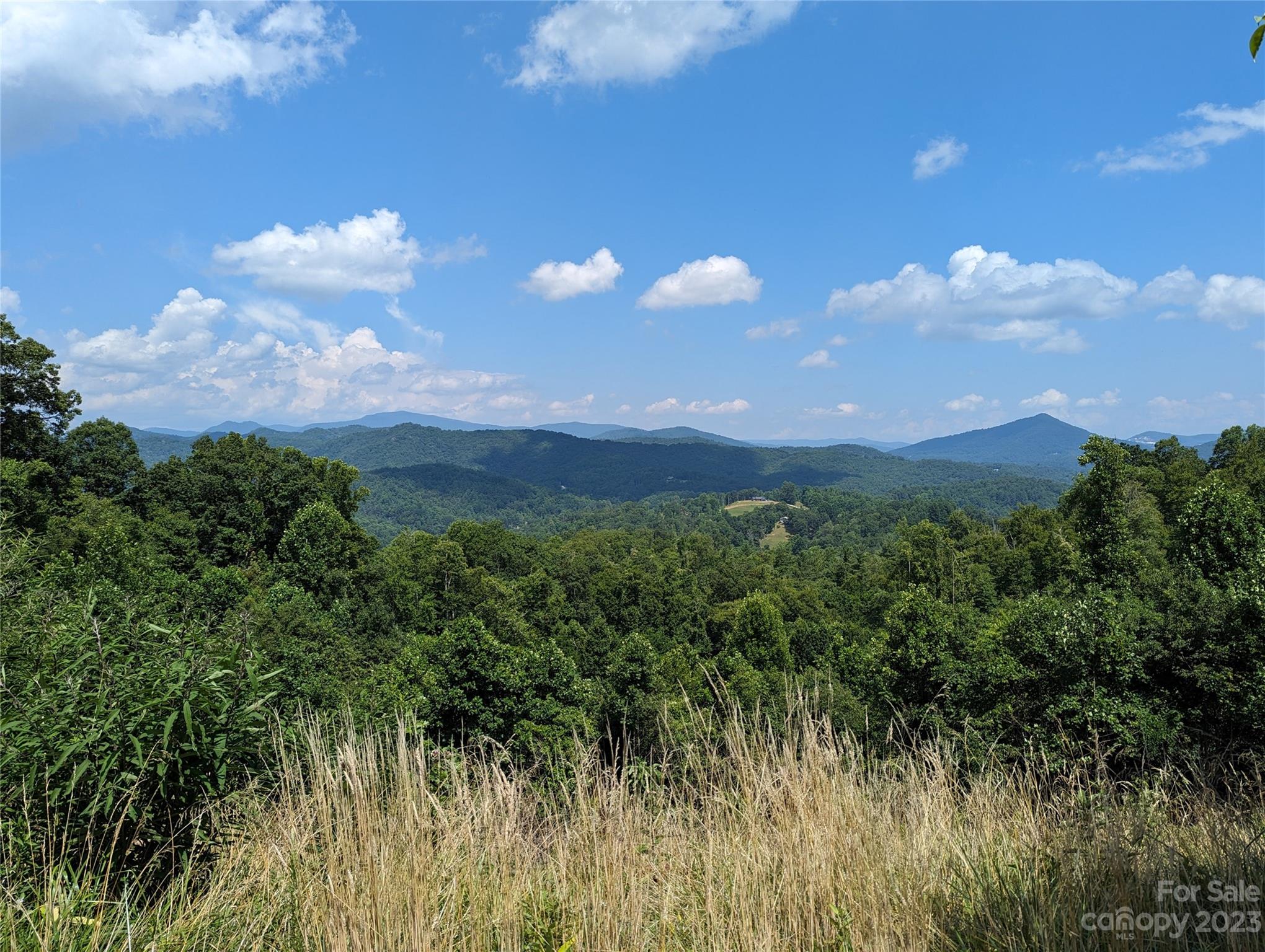 3303 Double Island Road Green Mountain NC 28740
