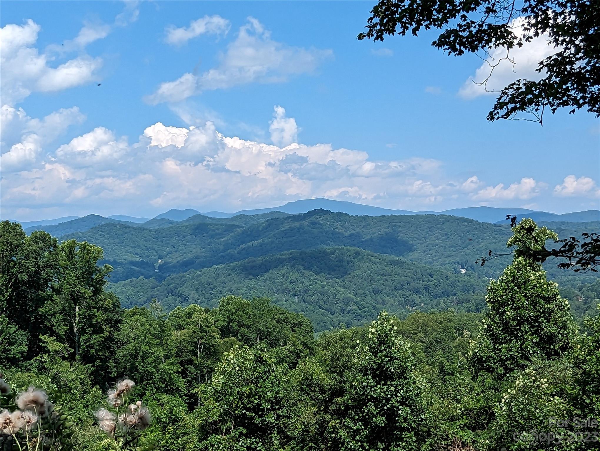 3303 Double Island Road Green Mountain NC 28740