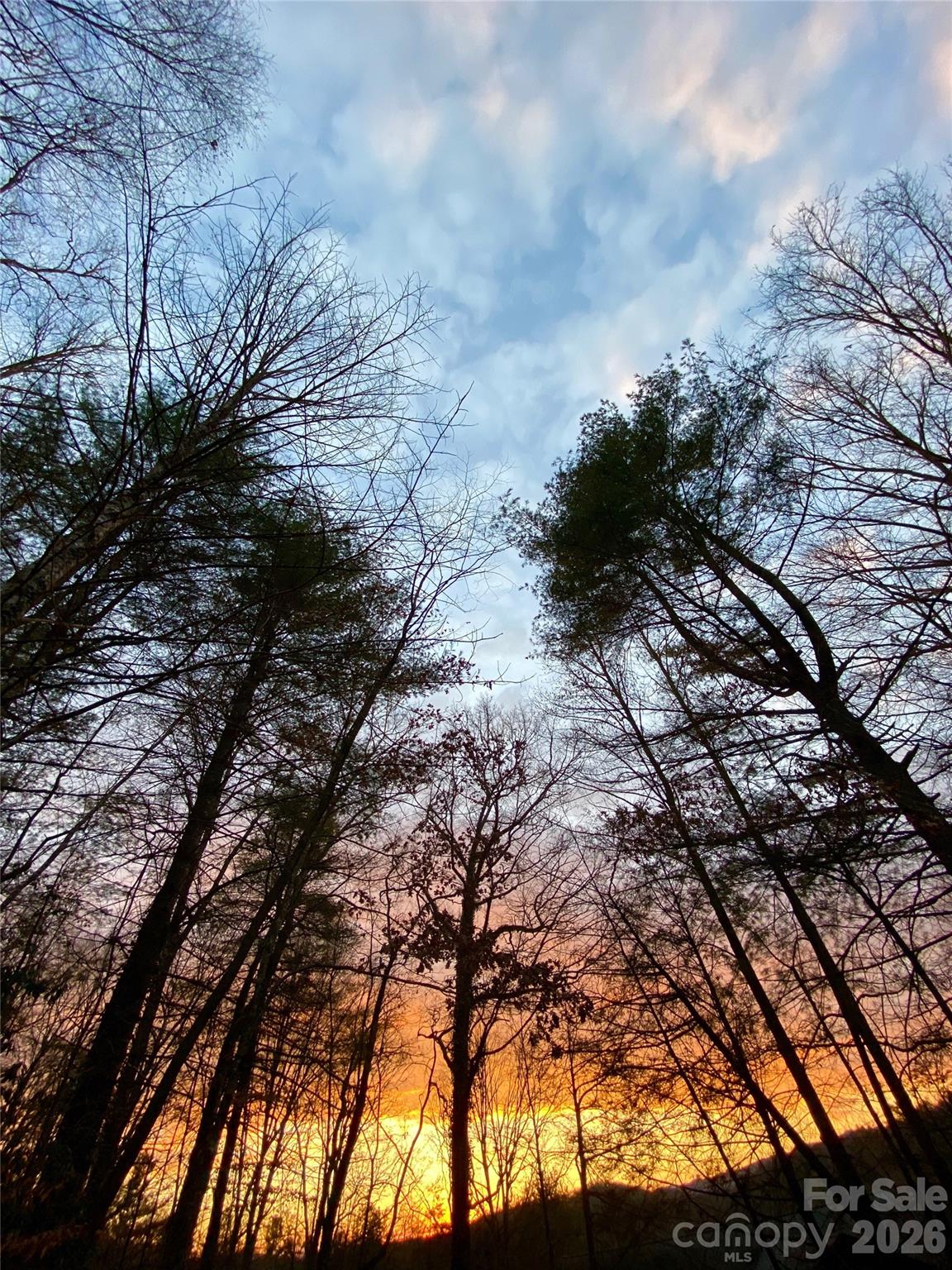 239 Three Mile Knob Road Pisgah Forest NC 28768