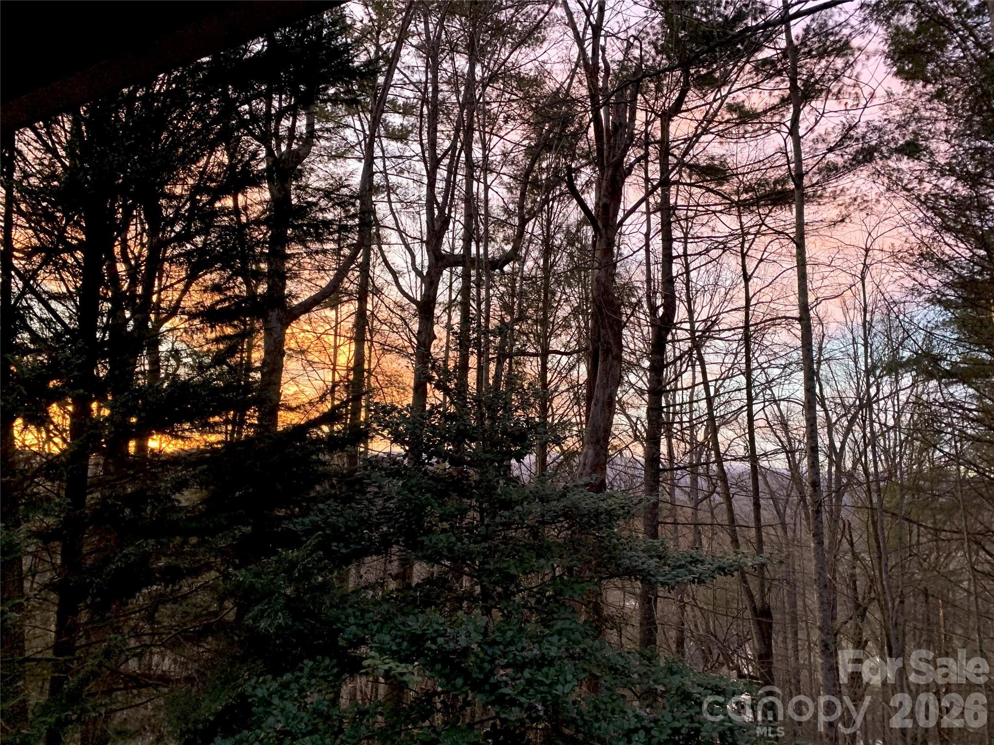 239 Three Mile Knob Road Pisgah Forest NC 28768
