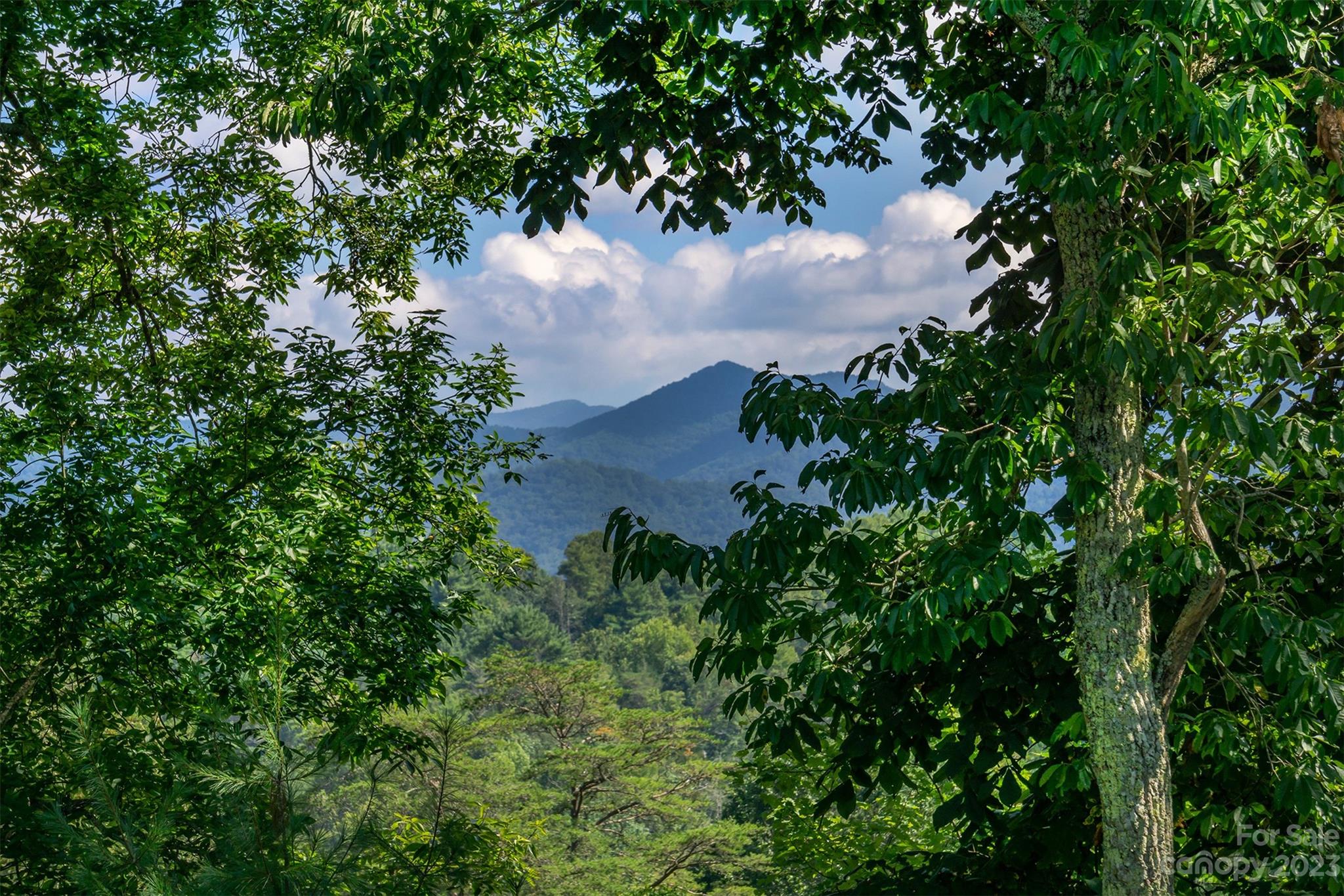 3679 Bull Creek Road Marshall NC 28753