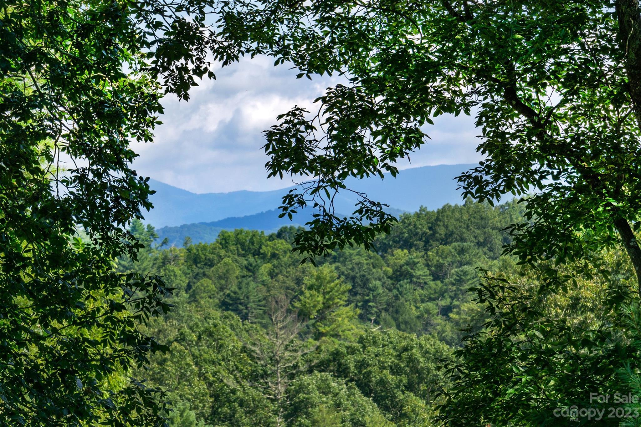 3679 Bull Creek Road Marshall NC 28753