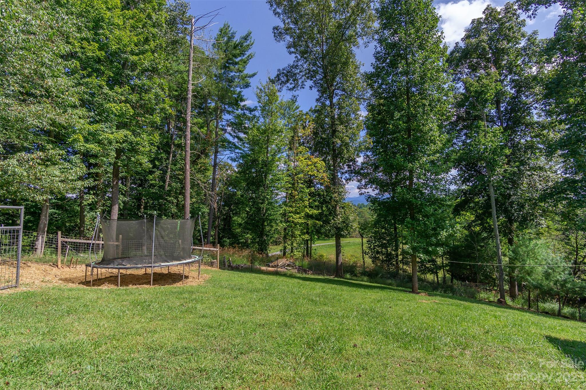 3679 Bull Creek Road Marshall NC 28753