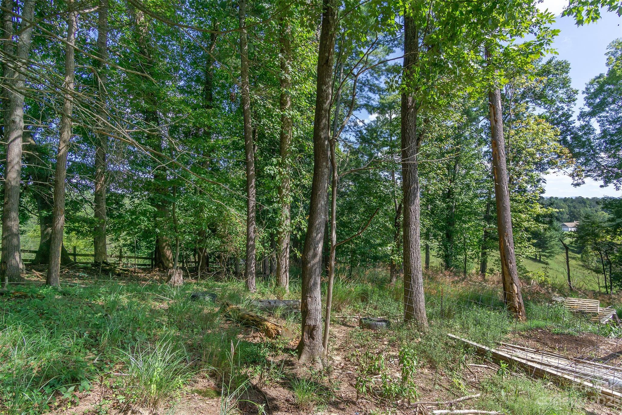 3679 Bull Creek Road Marshall NC 28753