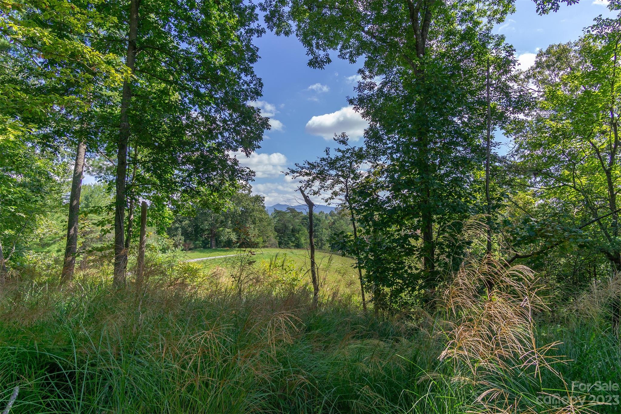 3679 Bull Creek Road Marshall NC 28753