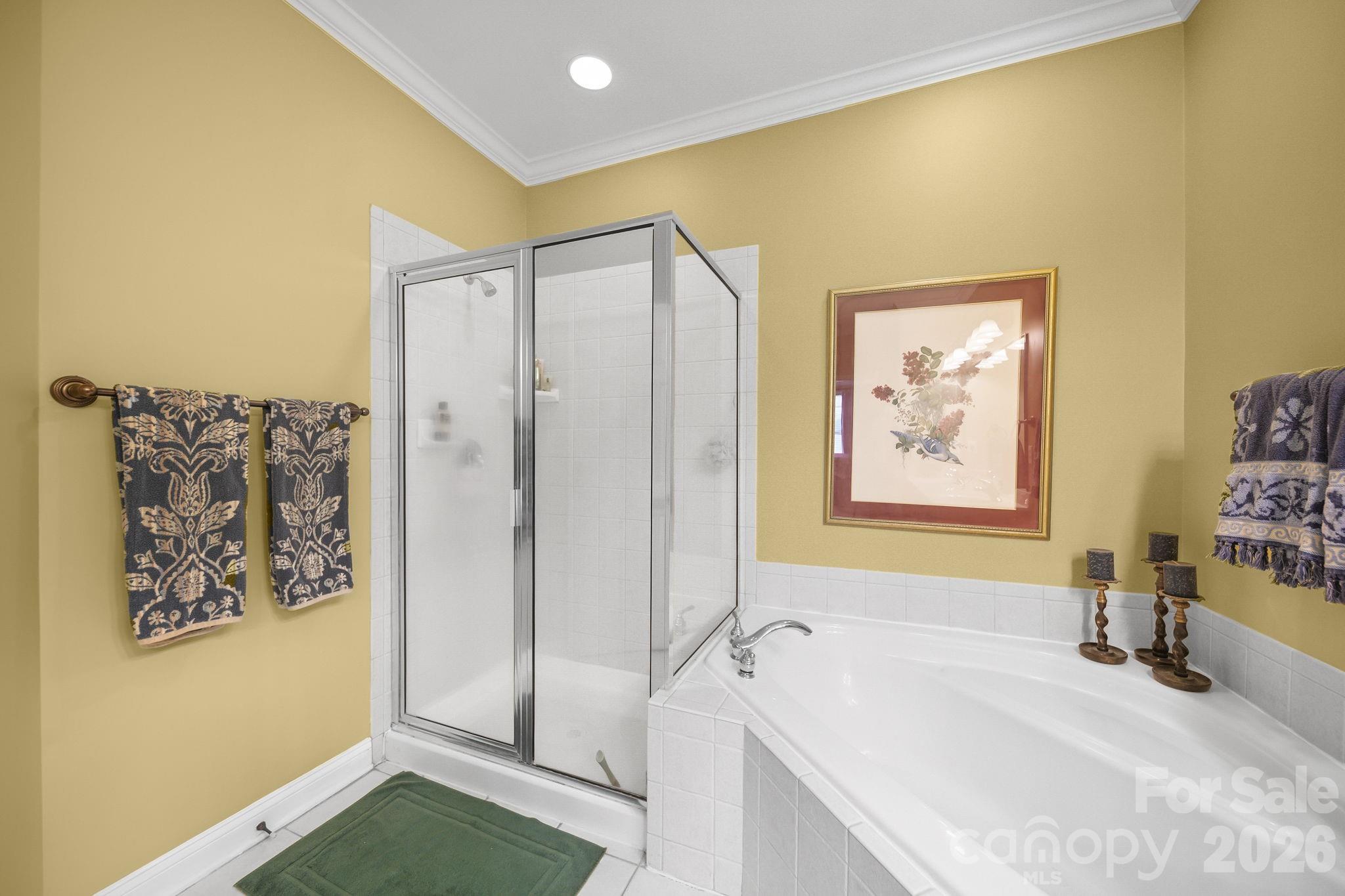 13339 Mint Lake Drive Matthews NC 28105