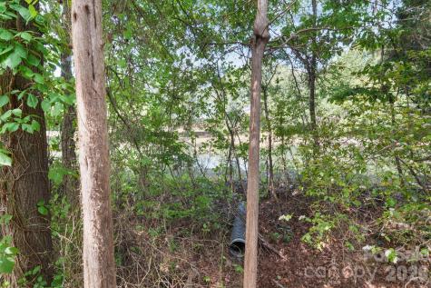 13339 Mint Lake Drive Matthews NC 28105