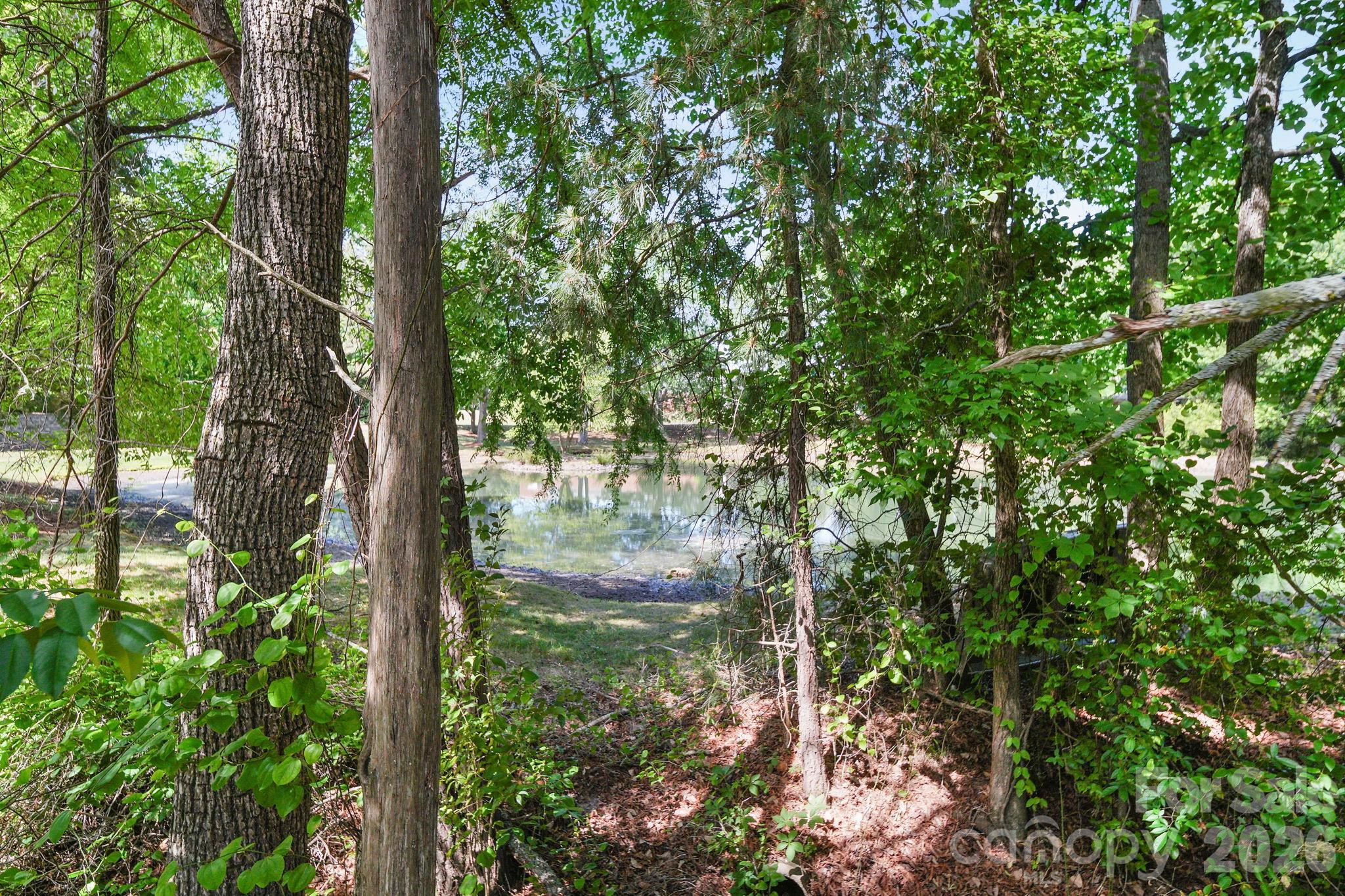 13339 Mint Lake Drive Matthews NC 28105